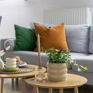 Zolderappartement met 1 Slaapkamer